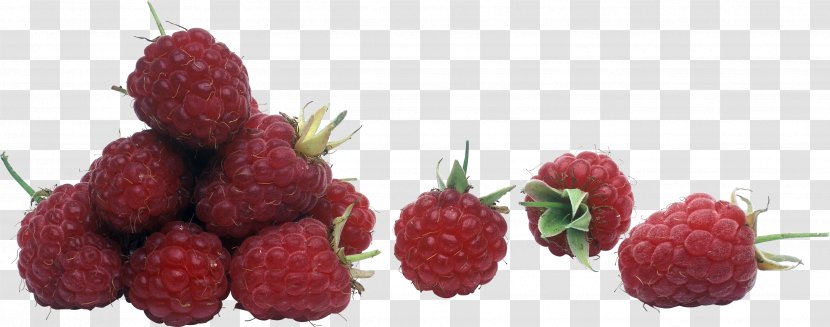 Red Raspberry - Berry - Rraspberry Image Transparent PNG