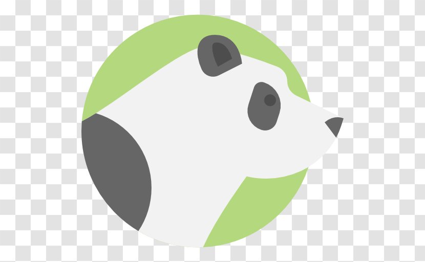 Bear Giant Panda - Green Transparent PNG