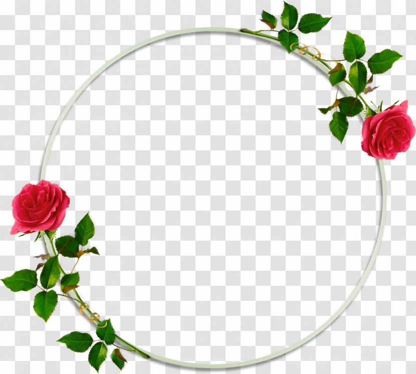 Picture Frames Photography Flower - Flowering Plant - Round Frame Transparent PNG