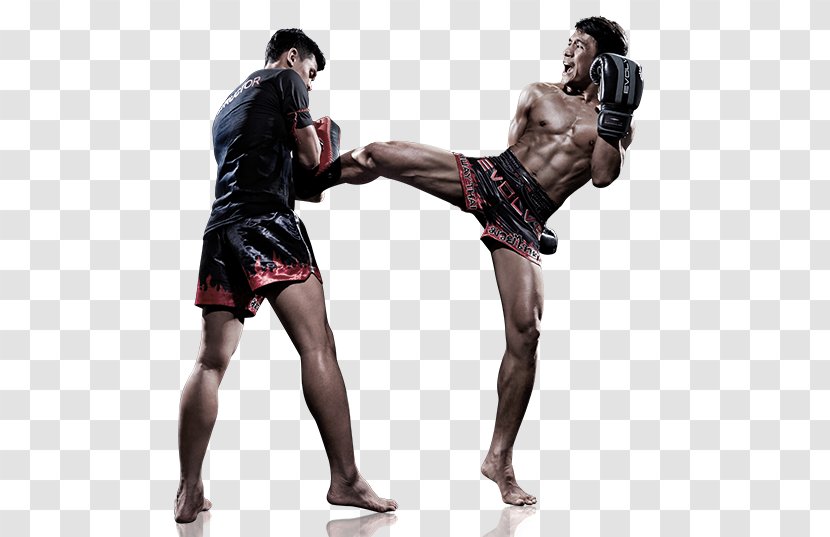 Kickboxing Combat Sport Martial Arts - Boxing Equipment Transparent PNG