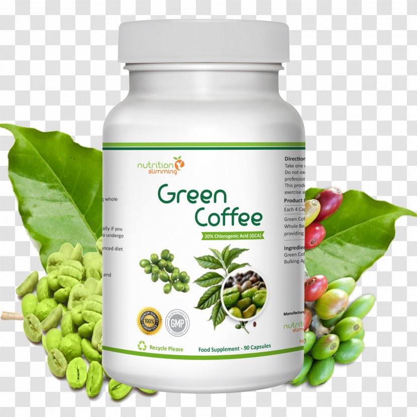 Green Coffee Extract Dietary Supplement Weight Loss Bean - Herbal - Luwak Transparent PNG