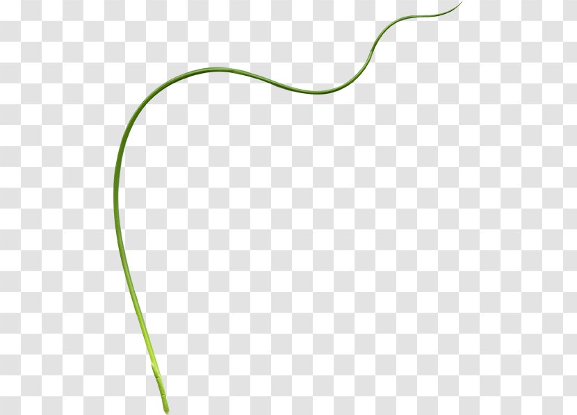 Material Green Pattern - Grass - Line Transparent PNG