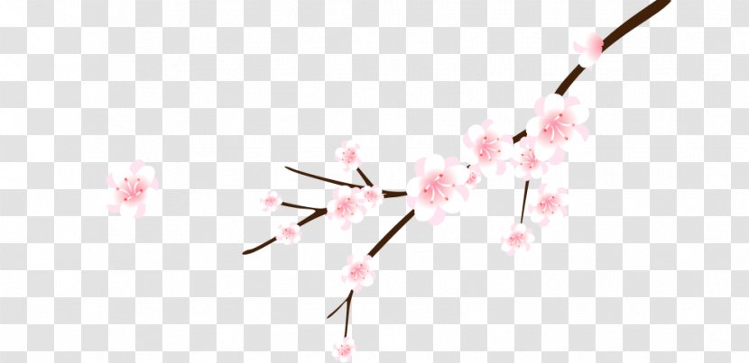 Cherry Blossom Cerasus Branch Flower - Petal - Plum Transparent PNG