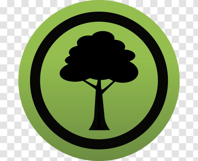 Tree Pictogram Wood Symbol Clip Art Transparent PNG