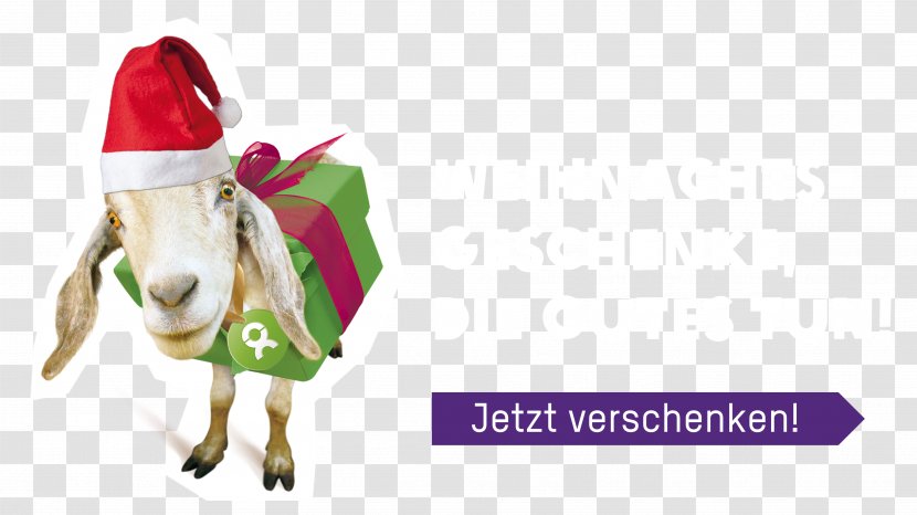 Zahnarztpraxis Padilla - Christmas Tree - Ihr Zahnarzt Frankfurt Gift Day Birthday Greeting & Note CardsGift Transparent PNG