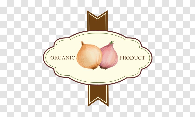 Shallot Vegetable Icon - Food - Onion Labels Transparent PNG