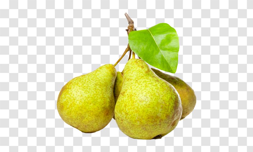 Comice Pears Fruit Doyenné Williams Pear - Still Life Photography - PEER Transparent PNG