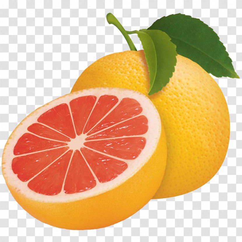Grapefruit Sour Tangerine Bergamot Orange Lemon - Natural Foods Transparent PNG