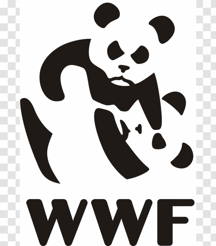 Giant Panda WWF-UK World Wide Fund For Nature T-shirt Bear - Wildlife Conservation Transparent PNG