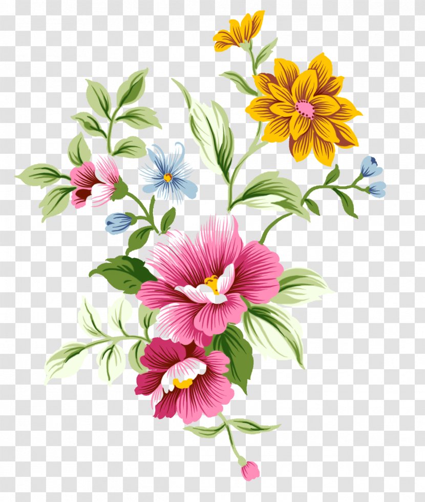 Flower Drawing Floral Design Designer - Color Transparent PNG