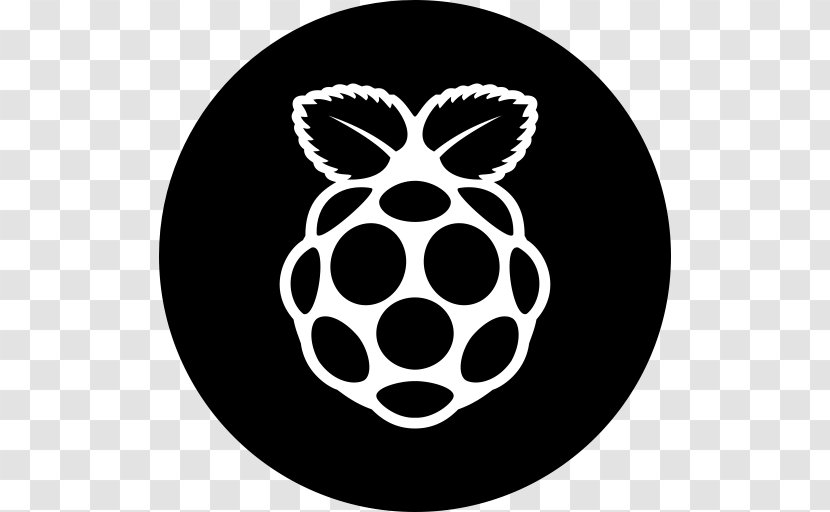 Raspberry Pi Secure Digital - Computer Software Transparent PNG