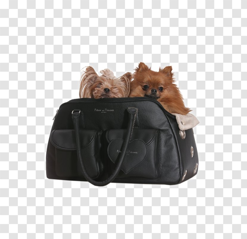 Dog Breed Handbag Consorzio Costa Smeralda Porto Cervo Homes - Travel - Air Bag Transparent PNG