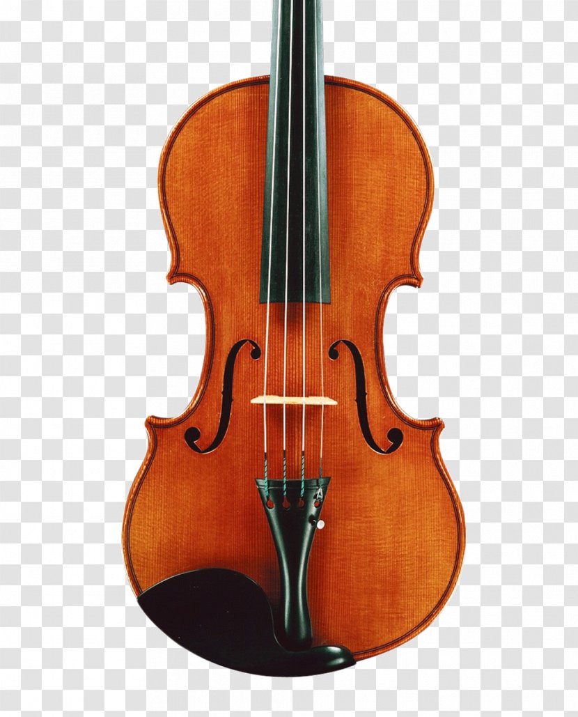 Markneukirchen Violin Musical Instrument Ukulele String - Cartoon Transparent PNG