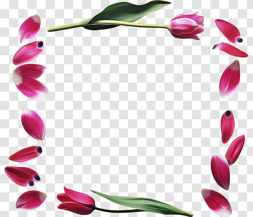 Floral Design - Cut Flowers - Pedicel Plant Transparent PNG