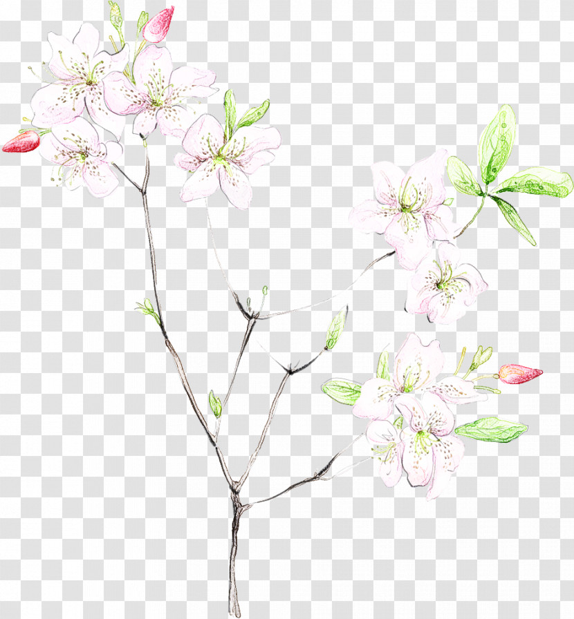 Cherry Blossom Transparent PNG