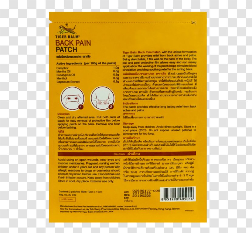 Neck Pain Middle Back Human Low Tiger Balm - Lumbar Transparent PNG