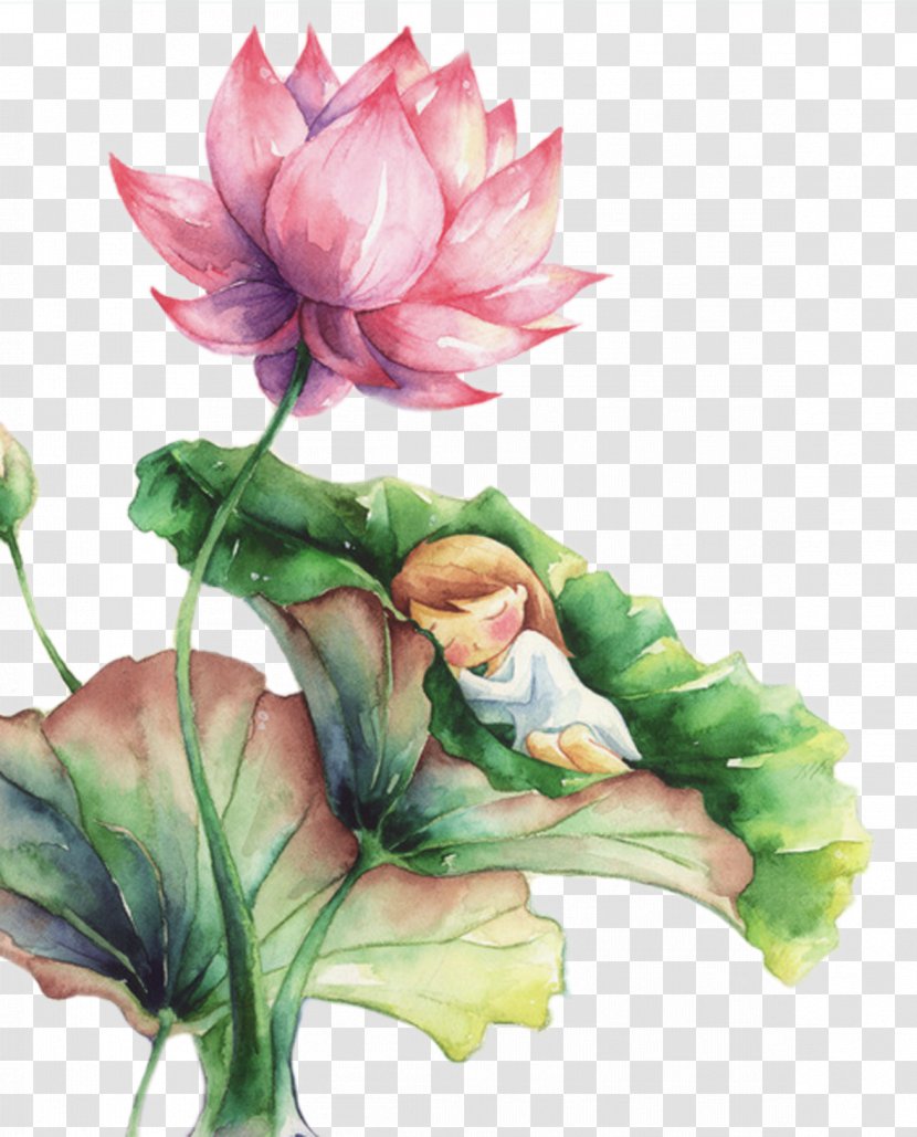 Watercolor Painting Nelumbo Nucifera Landscape - Chinese Art - Wind Sleeping On The Lotus Leaves Of A Child Transparent PNG