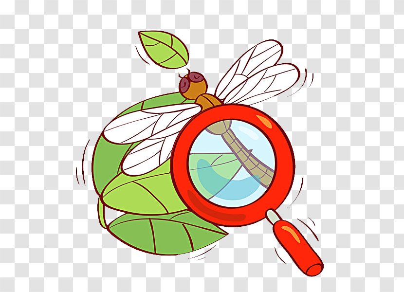 Magnifying Glass Observation Illustration - Dragonfly Transparent PNG