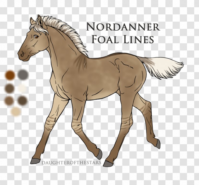 Foal Pony Stallion Mustang Mare - Neck Transparent PNG