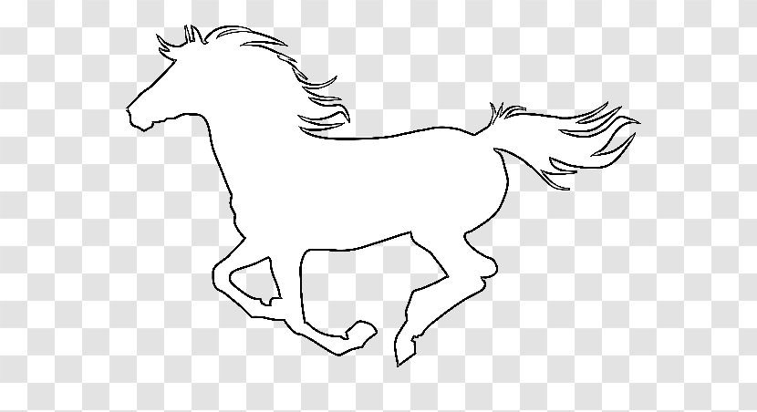 Mule Foal Stallion Bridle Pony - Wing - White Horse Transparent PNG