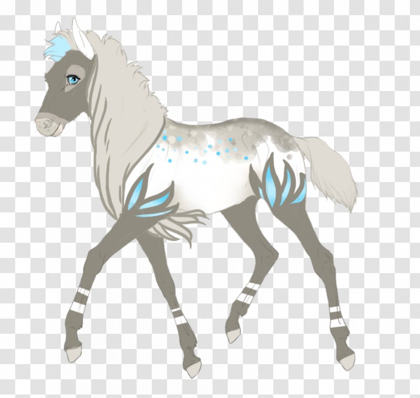 Mane Mustang Foal Stallion Colt - Halter Transparent PNG