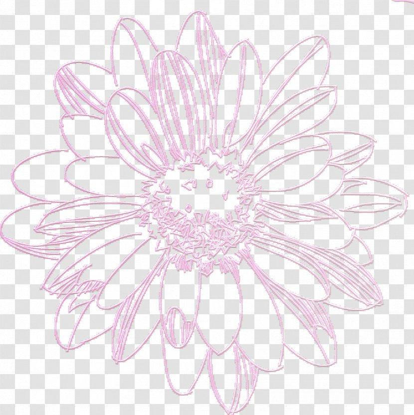 Dahlia Floral Design Drawing Visual Arts Transvaal Daisy - Plant - Chrysanthemum Transparent PNG