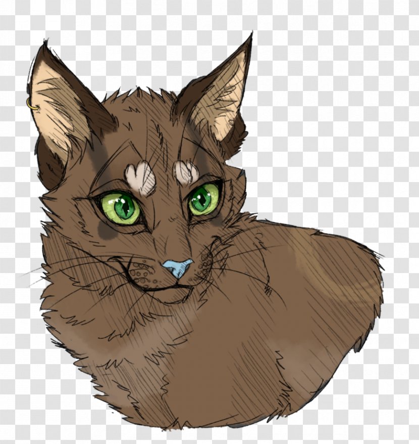 Whiskers Tabby Cat Domestic Short-haired Wildcat Transparent PNG