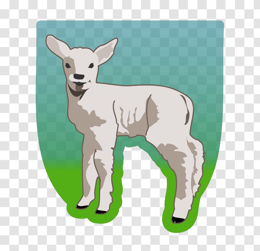 Bighorn Sheep Clip Art - Cow Goat Family - Lamb Image Transparent PNG