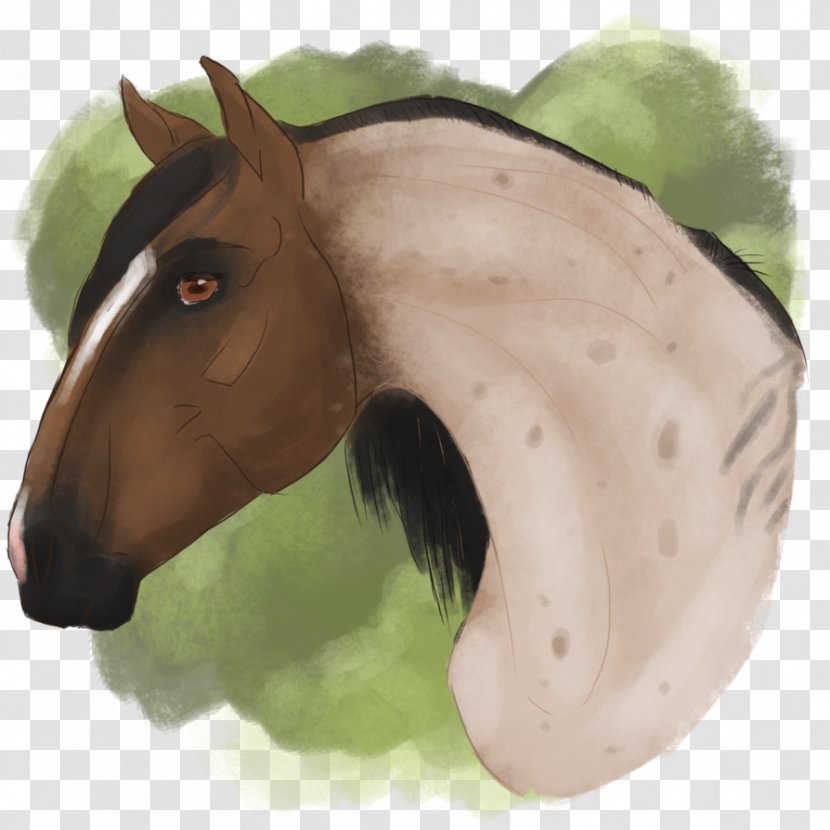 Drawing Mustang Mare Halter Stallion - Horse Tack Transparent PNG