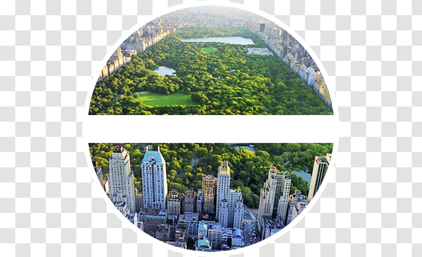 Central Park Upper West Side Midtown Manhattan East - Mural - Upscale Residential Quarter Transparent PNG