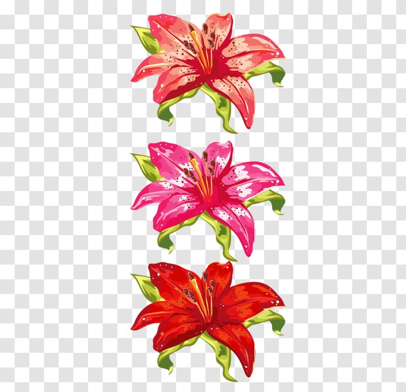 Orange Lily Cut Flowers Sticker Floral Design - Plant Stem - Flower Transparent PNG