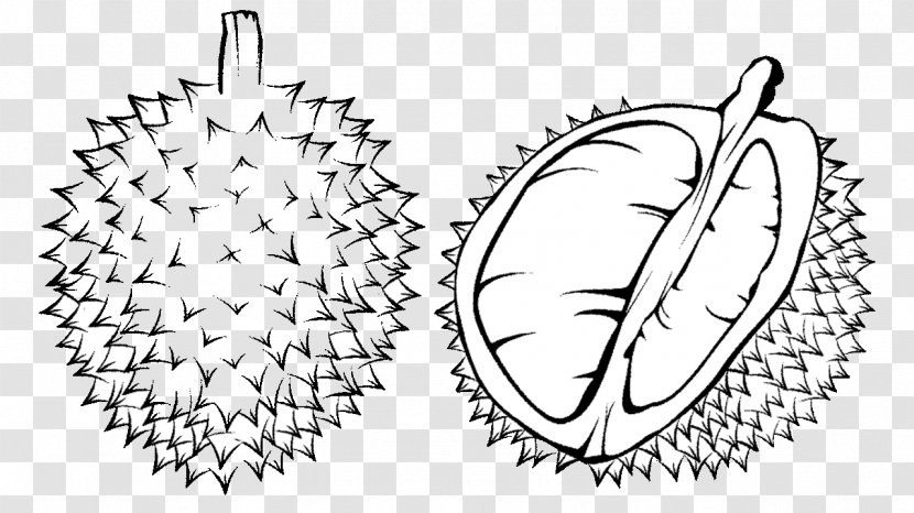 Coloring Book Durian Black And White Child Clip Art - Symmetry Transparent PNG