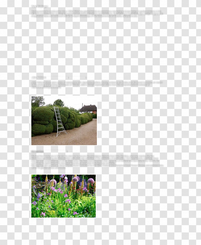 Landscaping Flora Plant Community Land Lot Pruning - Hard Work Ideas Transparent PNG