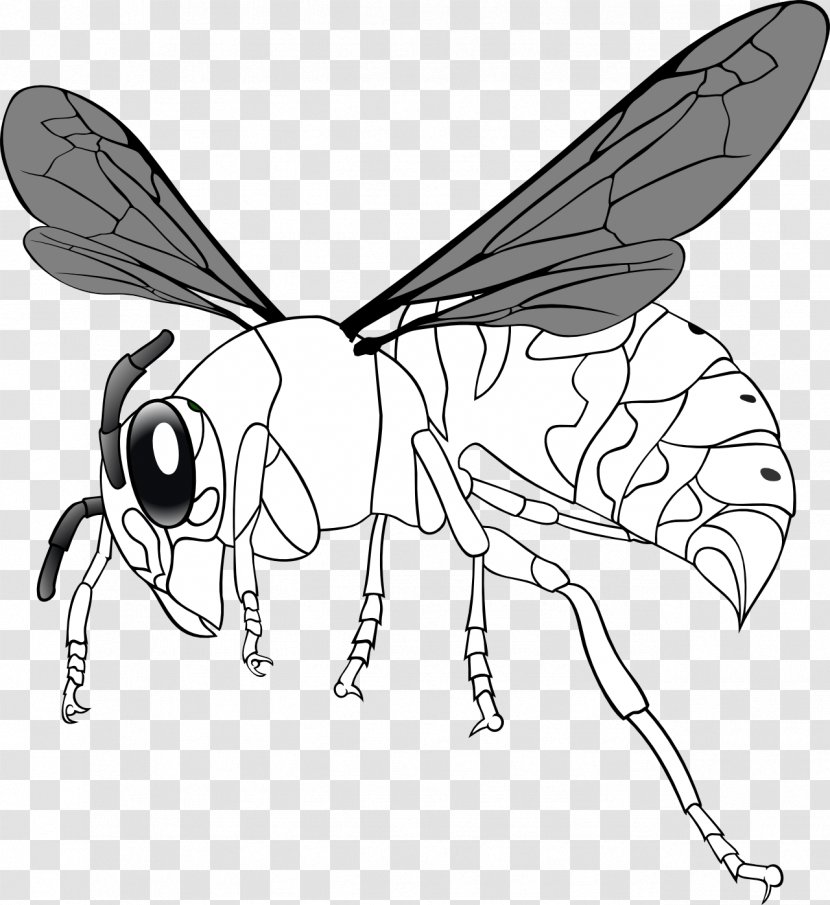 Bee Line Art Clip - Insect Transparent PNG
