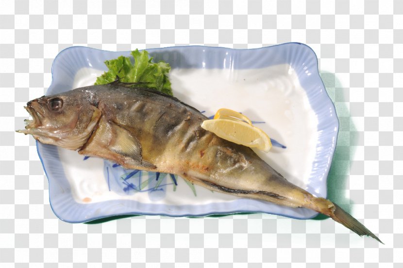 Sushi Japanese Cuisine Mackerel - Dish - A Fish Transparent PNG