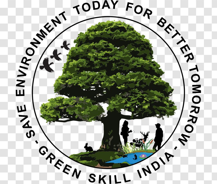 Bonsai United States Government Of India Organization Tree - Arboriculture Transparent PNG