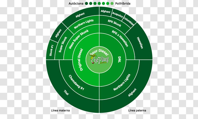 Sour Diesel Seed Feminized Cannabis Northern Lights Plants - Sphere Transparent PNG