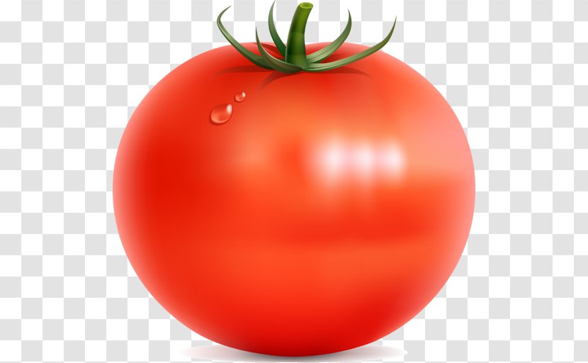 Clip Art Vegetable Cherry Tomato Transparency - Diet Transparent PNG