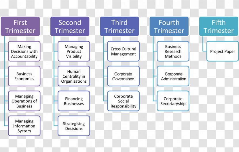 Brand Online Advertising Product Design Font - Types Of Governance Structure Transparent PNG