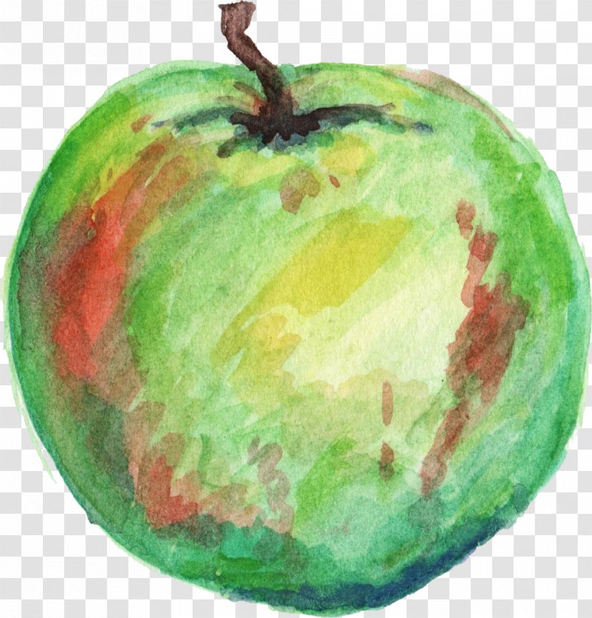 Apple Watercolor Painting Fuji - Watercolour Transparent PNG