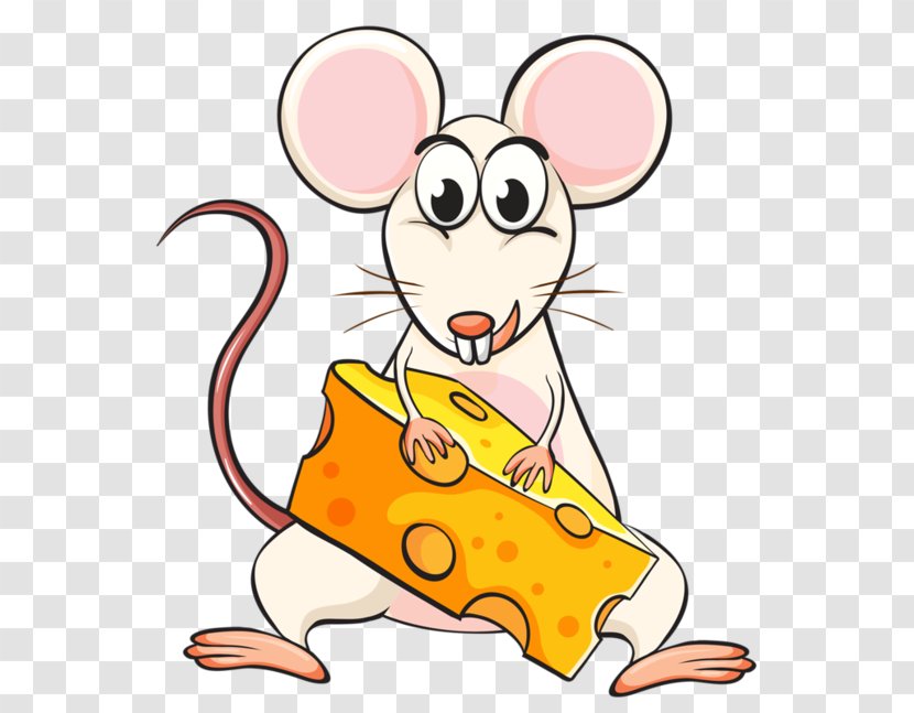 Mouse Rodent Clip Art Image - Rat Transparent PNG
