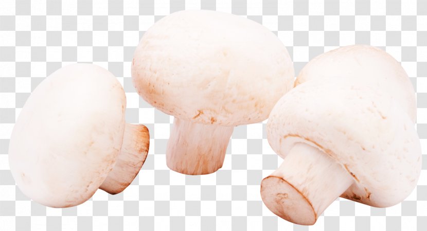 Mushroom Shiitake Agaricus Icon - Child - Mushrooms Transparent PNG