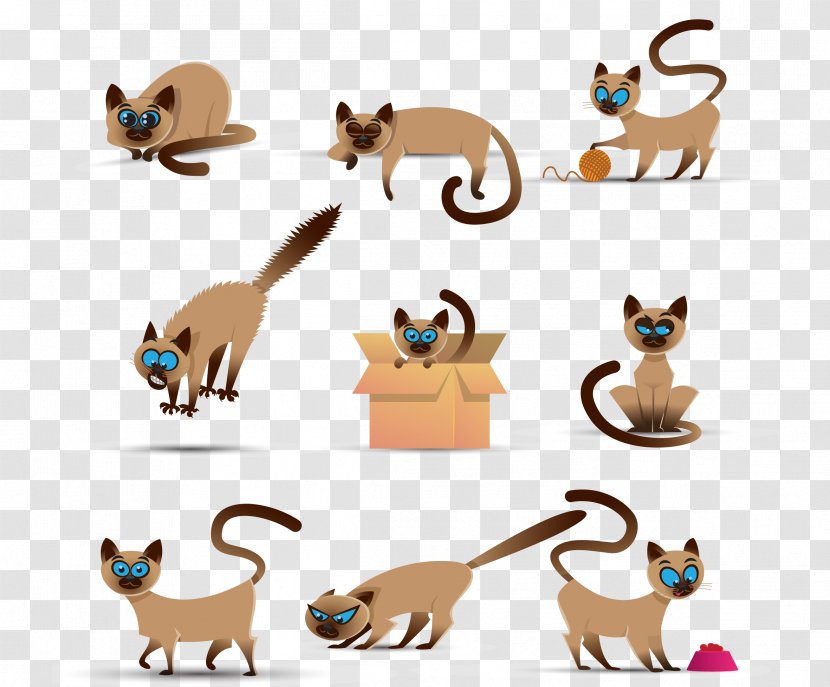 Siamese Cat Abyssinian Kitten Dog Clip Art - Wildlife - Illustration Orange Pet Transparent PNG