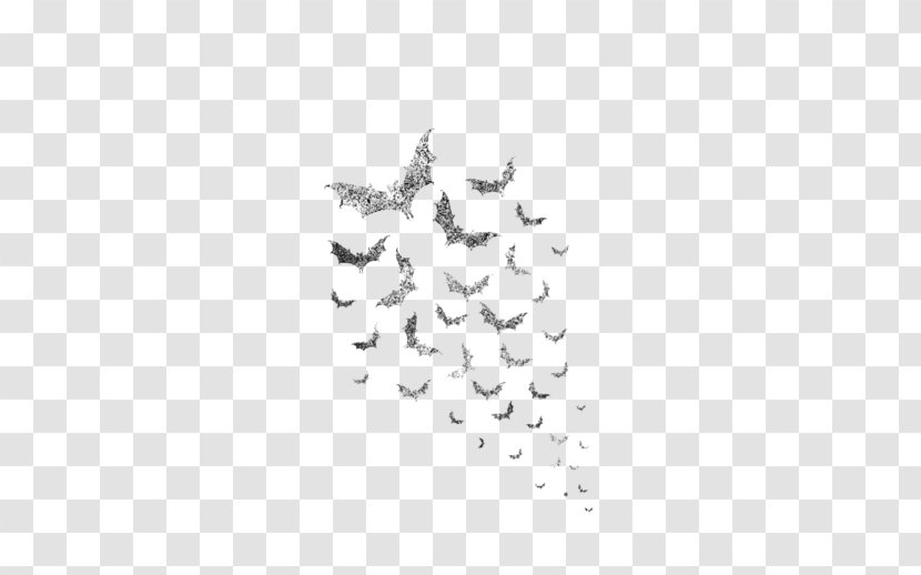 Bird Line Drawing - White - Blackandwhite Transparent PNG