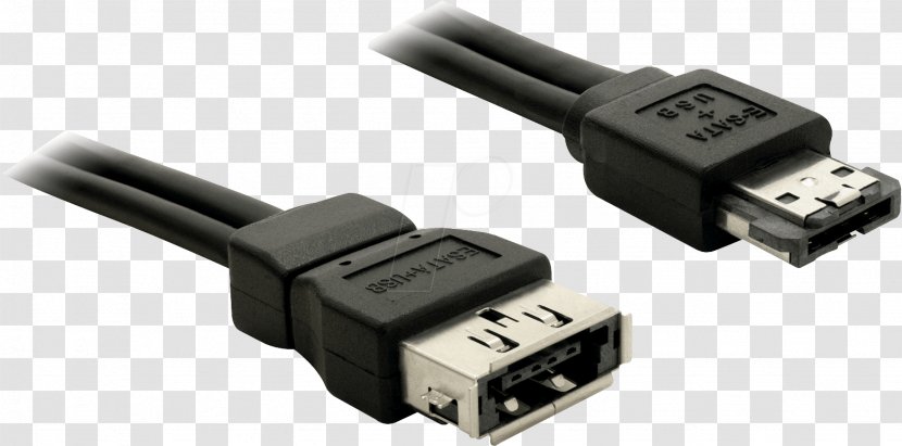 ESATAp Electrical Cable Serial ATA USB Extension Cords - Cartoon - Laptop Power Cord Transparent PNG