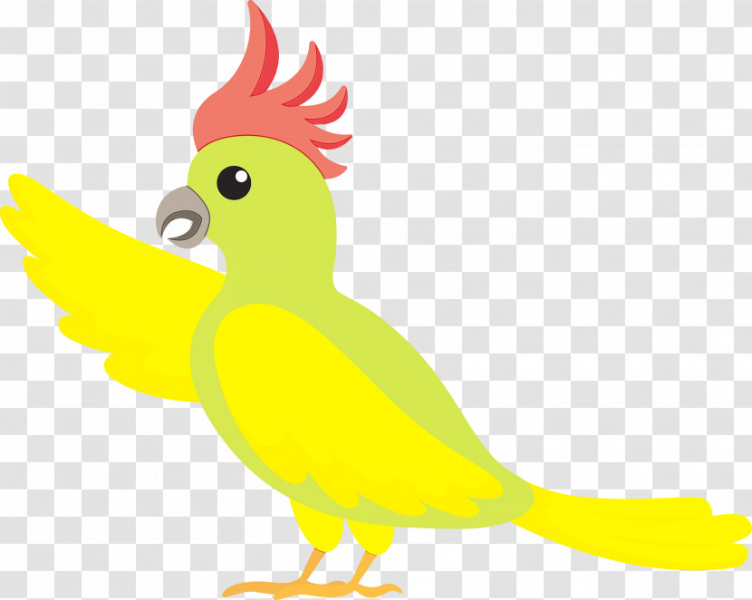 Rooster Parrots Chicken Beak Yellow Transparent PNG