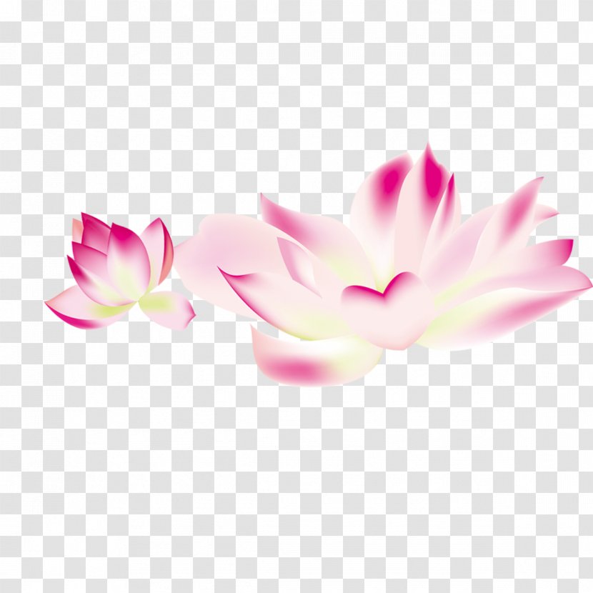Flower Clip Art - Herbaceous Plant - Lotus Material Transparent PNG