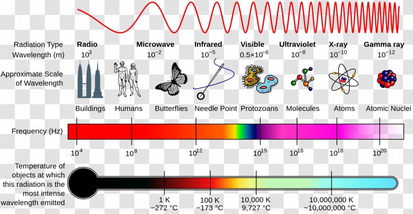 Light Electromagnetic Spectrum Radiation - Flower Transparent PNG