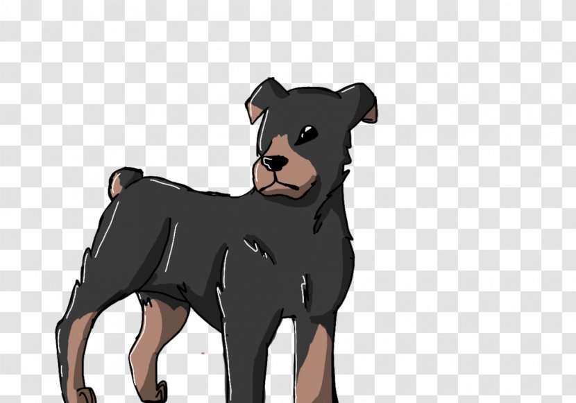 Puppy German Pinscher Dog Breed Snout - Mammal Transparent PNG