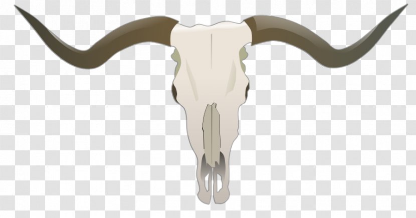 Texas Longhorn English Skull Goat Bull - Tree Transparent PNG